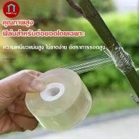ราคา เทปพันกิ่งไม้ อุปกรณ์ทำสวน เทปพันตอนกิ่ง อุปกรณ์การเกษตร เทปพันกิ่งทาบ พลาสติกทาบกิ่ง เทปติดตาต้นไม้ฟิล์มยืด (1731811856061137951)