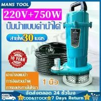 ราคา COD(รับประกัน 10 ปี)ปั๊ม ไดโว่ดูดโคลน แช่ ไฟฟ้า 1 นิ้ว ไดโว่ดูดน้ํา ปั๊มน้ำแรงดันสูง ไดโว่ รุ่น QDX 750w ขดลวดทองแดง 100% (1731575670003238459)