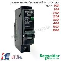 ราคา Schneider เซอร์กิตเบรคเกอร์ 1P 10A 16A 20A 25A 32A 40A 50A 63A ลูกเซอร์กิต ลูกย่อยเซอร์กิต Circuit Breaker สแควร์ดี เบรคเกอร์ (1729633822109501932)
