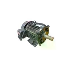 ราคา [ผ่อน0%] MITSUBISHI มอเตอร์ 220V รุ่น SCL-QR 5HP มอเตอร์ไฟฟ้า มอเตอร์ Motor มิตซูบิชิ (1730029654411348778)