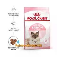 ราคา Royal Canin Kitten 10kg / Royal Canin Mother & babycat 10kg โรยัลคานิน อาหาร แม่แมว ลูกแมว ถุง 10 กก. (1731859870584637164)