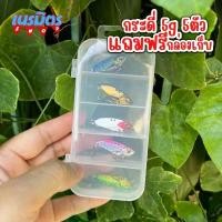ราคา เหยือปลอม เหยือกระดี่ 5 g 3.5 Cm 5 ตัว แถมฟรี กล่องเก็บ กะดี่ เหล็ก กระดี่ตี เหยื่อตกช่อน กระดี่ไก่ชน กระดี่จัดเต็ม COD ตกปลา ออกกำลังกาย Sports เบ็ด (1730892025618664191)