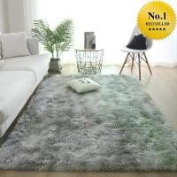 ราคา พรมปูพื้นขนมิ้งยาว 4 cm พรมแต่งห้อง พรมห้องนอน,ห้องรับแขก 80*160CM (1731447325625845402)