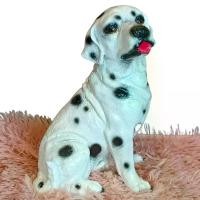 ราคา ตุ๊กตาปูนปั้นสุนัขลายจุดน่ารัก ประดับหน้าบ้าน ห้องรับแขก รูปปั้น (1729625168078866670)