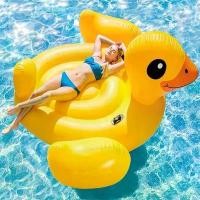 ราคา MeeMeeBaby floating duck แพยางเป่าลม แพยางลอยน้ำ เป็ดเหลือง ลายลูกเป็ดน้อยสีเหลือง และลายสัตว์ต่างๆ ขนาดใหญ่มากกกก มีด แครอท water gun airsoft toys (1731794721350060298)