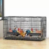 ราคา คู่นก สำหรับใช้ในบ้าน ขายดี ขนาดเล็ก ขนาดใหญ่ ขนาดใหญ่พิเศษ กรงเหล็ก รังไก่ เหมาะสำหรับระเบียง กรงผสมพันธุ์แบบพับได้ ที่ ดักไก่ ป่า ตาข่าย เอ็น ล้อม ไก่ สุ่ม ขา วง เหล็กหนา ตะข่า (1731535896718509660)