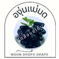 ราคา องุ่นแม่มด 1 ตะกร้า (3.5-4.0 กิโลกรัม) ส่งแช่เย็น (1729724493767805319)