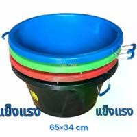 ราคา CODกะละมัง เบอร์10 มีหูหิ้ว หูเหล็ก แข็งแรง หนา ทนทาน ขนาดใหญ่ 65*34 cm กะละมังพลาสติก กะละมังมีหู CNNTikTok (1731451514942162210)