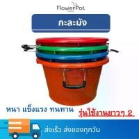 ราคา [จัดส่งทันที] กะละมัง ใบใหญ่ กะละมัง 6 มีหูเหล็ก กะละมังใหญ่ กาละมัง หนา ทนทาน (1732290471589152773)