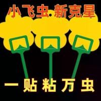 ราคา กระดานล่อแมลงเหนียว สีดำ สำหรับกระถางดอกไม้ สองด้าน กันเห็บ ไล่แมลง เหมาะสำหรับพืชสีเขียว ใช้ในครัวเรือน ในร่ม เครื่องมือที่มีประโยชน์ กะละมัง เบอร์ 95 ถัง น้ําแข็ง ร้านกาแฟ (1731720878223624008)