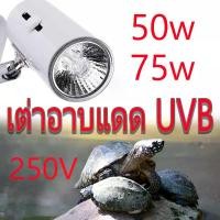 ราคา หลอดไฟ UVB สำหรับสัตว์เลื้อยคลานและเต่า, เหมาะสำหรับ Terrariums, หลอดไฟ UVB Heat Lamp, ไฟส่องสว่างสำหรับเต่าและ Terrariums (1731516018331649598)