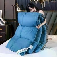 ราคา ผ้านวม, ขนเป็ดสีขาว, หนา, อบอุ่น, 95 ไส้ขนเป็ด, เหมาะสำหรับของขวัญ, เหมาะสำหรับโรงแรมและหอพัก, ใส่ผ้านวม, เครื่องนอน (1731000143747517408)