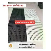 ราคา [พร้อมส่ง] พื้นพลาสติก อเนกประสงค์ หนาที่สุดในท้องตลาด!!!! ใช้ปูพื้นคอกสัตว์เลี้ยง. โรงเรือต้นไม้ ชั้นวางของ แผ่นพื้นพลาสติก (1731825357213435385)
