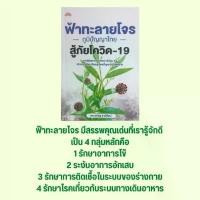 ราคา หนังสือสุขภาพ ฟ้าทะลายโจร ภูมิปัญญาไทยสู้ภัยโควิด-19 : รู้จักยาสมุนไพรฟ้าทะลายโจร ฟ้าทะลายโจรกับการรักษาโควิด-19 (1731706734423279564)