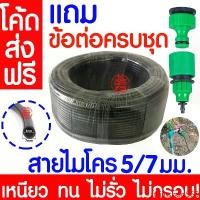ราคา ttriinshop565 แบบพกพา *แถมข้อต่อ* สายไมโคร 5/7มม. สายยางสปริงเกอร์ ท่อไมโครพีวีซี สายยางพีวีซี Micro PVC สปริงเกอร์ ยาว 100 เมตรเต็ม น้ำหยด พ่นหมอก สวน รดน้ำ ระบบน้ำ (1731723117126060488)