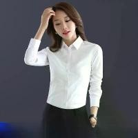 ราคา เสื้อเชิ้ต ผู้หญิง นักเรียน วิทยาลัย สีพื้น แขนสามเหลี่ยม สีขาวนวล สีขาวสว่าง คอกลม เหมาะสำหรับนักศึกษาวิทยาลัย เสื้อ ลายลูกไม้ เสื้อคอปาด Women Clothing เสื้อ ลายลูกไม้ เสื้อ ขาว เสื้อ แขน (173143200