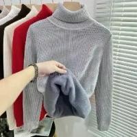 ราคา 【SALE】อก 38-44 7 สี บุขนกันหนาว เสื้อแขนยาวบุขน เสื้อแขนยาว เสื้อคอเต่า เสื้อคอเต่าบุขน เสื้อกันหนาว เสื้อบุขน ติดลบ รุ่น BT TurtleNeck (1731828182081963802)