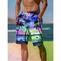 ราคา กางเกงชายหาดสำหรับผู้ชาย พิมพ์ลายมัดย้อมหลากสี ลายต้นปาล์ม มีเชือกผูก กางเกงว่ายน้ำ 2 กระเป๋า ชุดว่ายน้ำผู้ชาย เหมาะสำหรับวันหยุดฤดูร้อน ชายหาด และสระว่ายน้ำ (1732144688292923755)