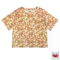 ราคา เสื้อแตงโม (SUIKA) - เสื้อคอปาด แขนสั้น เอวลอย (ผ้าฟ็อค) (ผ้าไม่ยืด) ( FO.C-002 ) สินค้าดี (1731945754838664788)