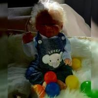 ราคา ตุ๊กตา Vivienne Bebé Reborn, 18 นิ้ว, ผิวทาสี 3 มิติที่สวยงาม, ผมหยั่งราก, ตุ๊กตาทารก Reborn เหมือนจริง Muñecas Reborn มินิโซ shinchan xminiso shinchan xminiso อาร์ททอย ตุ๊กตา หมา ตุ๊กตา หมา (17317734