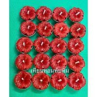 ราคา COD เทียนหอม ทับทิม เทียนหอมดอกชบา สำหรับไหว้พระขอพร พระพิฆเนศ กลิ่นดอกชบา หอมแรง เทียนสปาทีไลท์ชบาแดง แพ็ค 10ดอก (1731861608805467706)