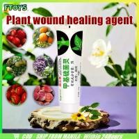 ราคา จัดส่งใน24ซม. ยาทาแผลต้นไม้ 150g ป้องกันเชื้อรา ยาต้นไม้ สำหรับไม้ด่าง บุษราคัม เสน่จันทร์ กระบองเพรช บอนไซ (1731094563325119444)