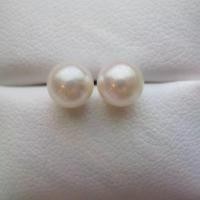 ราคา Thailand Vetiver Pearl Akoya pearl earring in white ต่างหูมุกแท้ ต่างหูมุกอโกย่า สีขาว มุกน้ำเค็ม มุกธรรมชาติ ต่างหูแป้น ต่างหูเงินแท้925 ชุบทอง18k จัดส่งไว (1732231673702615862)