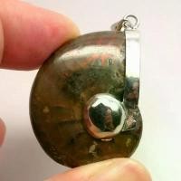 ราคา Ammonite pendant จี้ แอมโมไนต์เต็มตัว หอย แอมโมไนต์ หอยล้านปี จี้หอยแอมโมไนต์ คตหอย ใส่พกติดตัว เพิ่มพลัง ขาย (1731947919380416082)