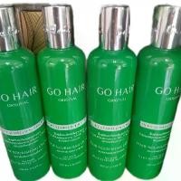 ราคา GO HAIR ผลิตภัณฑ์ G แบรนด์ GO HAIR รุ่น ORIGINAL ขนาด 250ml บำรุงเส้นผมให้ดูสวยงามและเงางาม สำหรับหลังสระผมเสร็จ (1731726978651423950)