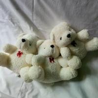 ราคา [TK] Valentine gift ตุ๊กตาหมี Teddy bear หมีขาว (1732292249038916475)