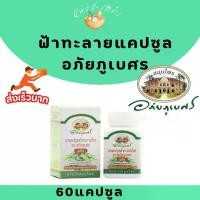 ราคา ฟ้าทะลายโจรแคปซูล อภัยภูเบศร 60 แคปซูล (1731249197580715727)