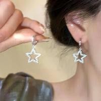 ราคา ต่างหูเพทายทรงดาว ดีไซน์มินิมอล สำหรับผู้หญิง ต่างหูสตั๊ดระดับไฮเอนด์สุดหรู ช่องทาง เรียบหรู ต่างหูใหม่ 2025 ชุด ต่าง หู chanel earrings (1731518709595014991)