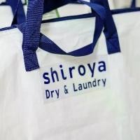 ราคา คูปองเงินสด Shiroya Clean Lab มูลค่า 2,000 บาท (สำหรับบริการซักอบรีด/ซักแห้ง) (1731938046741415680)