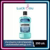 ราคา LISTERINE TARTAR น้ำยาบ้วนปาก ลิสเตอรีน ทาร์ทาร์ 750 ml. 250 คําแนะนําการขายที่ร้อนแรงในเดือนนี้ (1731598191751825341)