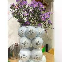 ราคา ลูกกอล์ฟ Tourstage PHYZ มือสอง12ลูก ของมาใหม่ๆๆๆๆ COD (1731881458428578792)