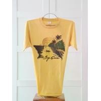 ราคา เสื้อวินเทจ เสื้อยืดวินเทจ เสื้อผ้าวินเทจ สกีนจม เข็บเดียวไม่มีข้าง คอกลม ผ้า 50/50 นุ่มบางใส่สบาย ป้าย USA Sport-t Sine 1970 Vintage T-Shirt (1729733890948106393)