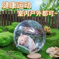 ราคา ลูกบอลวิ่ง, Sqg, ของเล่นหนูแฮมสเตอร์ล้อ, ลูกบอลกีฬาลูกกลิ้ง, เหมาะสำหรับหนูแฮมสเตอร์จิงโจ้, กีฬากลางแจ้ง, โปร่งใส, อุปกรณ์กีฬา (1732265479977142772)