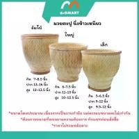 ราคา มวย ตะปู นึ่งข้าวเหนียว หวด นึ่งข้าว พร้อมจัดส่ง จัดส่งฟรี กทม (1731845351554516885)