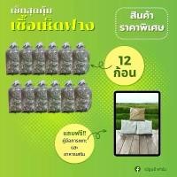 ราคา เชื้อเห็ดฟาง 12 ก้อน แถมฟรีคู่มือการเพาะ และ อาหารเสริม (1731997214120052728)