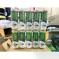 ราคา ลูกเทนนิส DUNLOP FORT ALL COURT TENNIS BALL 10 CANS (1 CAN / 3 BALLS) (1731992884137658328)