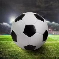 ราคา ลูกฟุตบอล, PVC นุ่ม, สีดำและสีขาว, ฟุตบอลโลก, ลูกฟุตบอล, ลูกบอลฝึกซ้อมฟุตบอล, สำหรับเด็ก, ขนาด 5 และขนาด 3, กีฬาทีม (1731546242195490238)