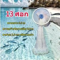ราคา 9ศอก 12ศอก 13ศอก แหฝรั่ง แหฝรั่งจานบิน แห แหจับปลา แหฝรั่ง ถูกๆ แหจานบินฝรั่ง แหหว่านปลา แหไทยถูกๆ แห่ราคาถูก แห่หว่านปลา แหจานบิน ตกปลา ตาข่าย (1731481706985916680)