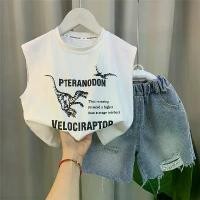 ราคา ชุดเสื้อกั๊กเด็กผู้ชาย สไตล์ตะวันตก มาใหม่ 23 เสื้อผ้าสวมแขนกุดฤดูร้อนสำหรับเด็กอายุ 4 ขวบและ 5 ขวบ ชุดสูทสองชิ้น แฟชั่นฤดูร้อน เหมาะสำหรับเด็กผู้ชาย กางเกง 3 ส่วน เด็ก สเก็ต (1731326231938500679)