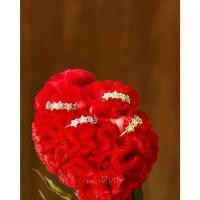 ราคา Julys - twinkle twinkle little star ear cuff (ราคาต่อชิ้น) คําแนะนําการขายที่ร้อนแรงในเดือนนี้ กรอบ พระ รับเช่า พระเครื่อง พระบูชา (1731825181109159070)