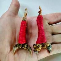 ราคา เดือยงูเหลือม เครื่องราง สายโชคลาภ (1731256186285425788)