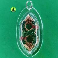 ราคา จี้นาคเกี้ยว 2เศียร 2ตัวพันกัน สีเขียวลงยา เลี่ยมกรอบ จี้พญานาคแท้ จี้พญานาคราช จี้พญานาคห้อยคอ จี้ เครื่องราง COD (1731928392499627090)