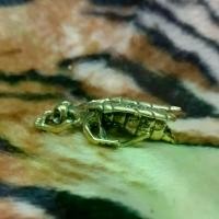 ราคา 【เก็บเงินปลายทาง】 พญาต่อเรียกทรัพย์ (หลวงปู่ขุ้ย วัดซับตะเคียน) ต่อทองมงคล ต่อทองมหาลาภ ต่อทองมหาโขค ต่อทองรับทรัพย์ ต่อทอง เครื่องราง เนื พญาต่อเรียกทรัพย์ หลวงปู่ขุ้ย วัดซับตะเ (1731634242308375829)