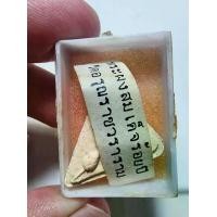 ราคา พระสมเด็จ พิมพ์สามเหลี่ยม หลังตรา วัดอรุณราชวราราม (วัดแจ้ง) กรุงเทพฯ (1730819745269254245)