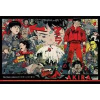 ราคา โปสเตอร์ รูปภาพ อากิระ การ์ตูน cartoon akira アキラ โปสเตอร์ ติดผนัง สวยๆ poster (1729588574748314266)