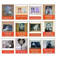 ราคา [เก็บเงินปลายทาง] [ โรเซ่ ] พร้อมส่ง❗ การ์ด ROSE BLACKPINK โปสการ์ด โปสเตอร์ พัด Born Pink YG TH KTOWN4U Weverse APPLE HANS SHOW HYLT WDM (1731837741117310984)